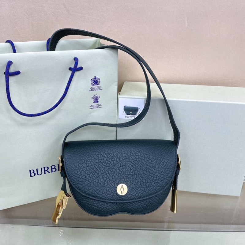 B**rry satchel bags